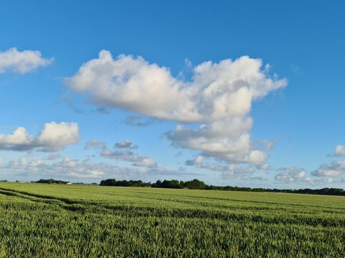 Ferienwohnung Op De Warft Neukirchen  Exteriér fotografie