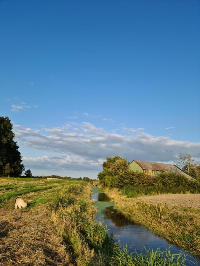 Ferienwohnung Op De Warft Neukirchen  Exteriér fotografie