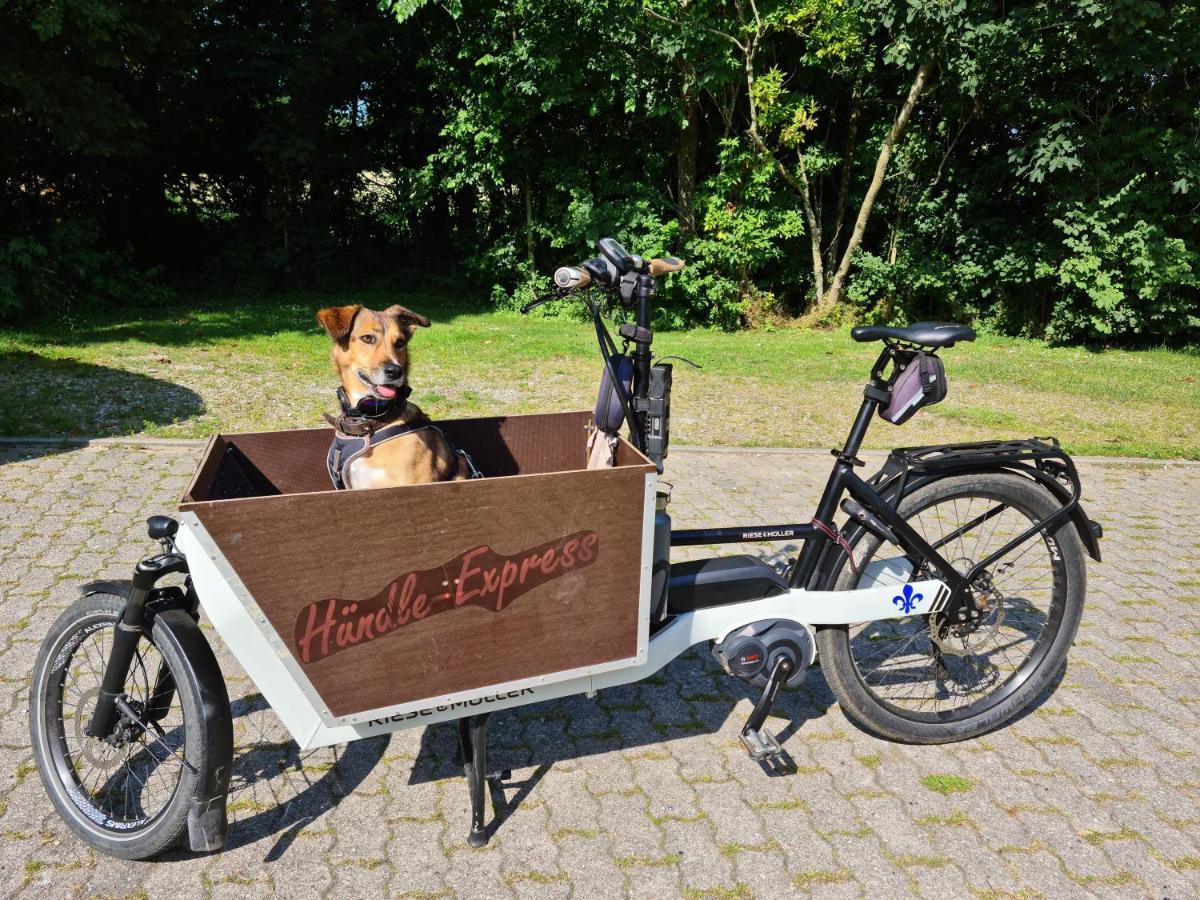 Ferienwohnung Op De Warft Neukirchen  Exteriér fotografie
